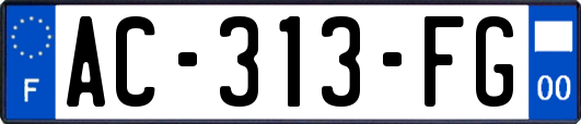 AC-313-FG