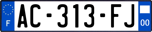AC-313-FJ