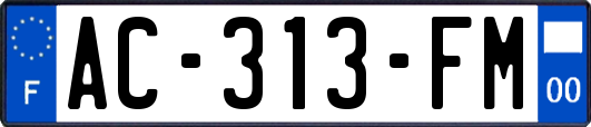 AC-313-FM