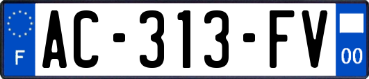 AC-313-FV