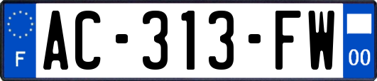 AC-313-FW