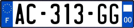 AC-313-GG