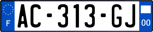 AC-313-GJ