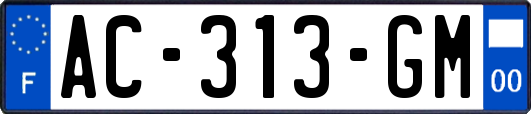 AC-313-GM