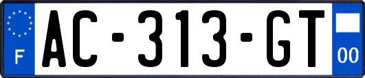 AC-313-GT