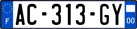 AC-313-GY