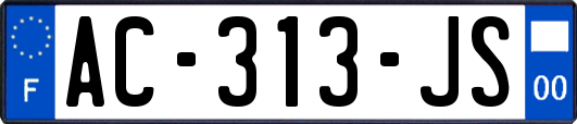 AC-313-JS
