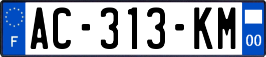 AC-313-KM