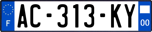 AC-313-KY
