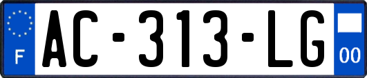 AC-313-LG