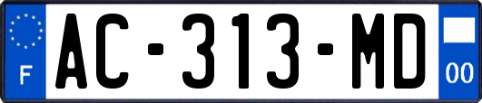 AC-313-MD