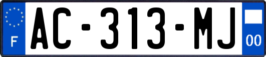 AC-313-MJ