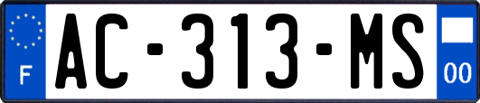 AC-313-MS