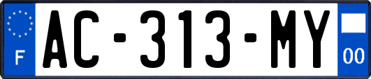 AC-313-MY