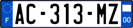AC-313-MZ