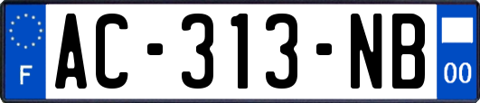 AC-313-NB