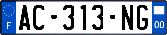 AC-313-NG
