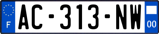 AC-313-NW