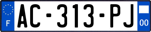 AC-313-PJ