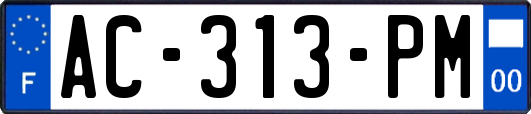 AC-313-PM
