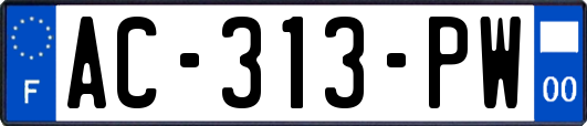 AC-313-PW
