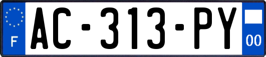 AC-313-PY