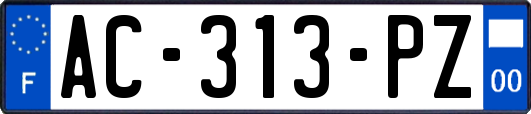AC-313-PZ