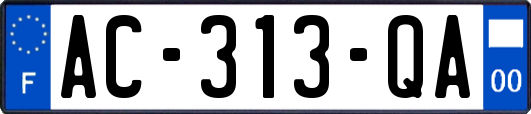 AC-313-QA