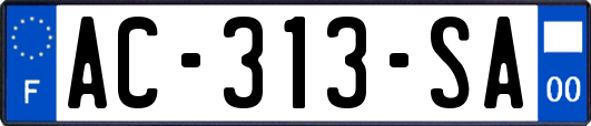 AC-313-SA