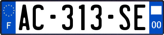 AC-313-SE