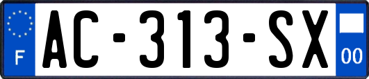 AC-313-SX