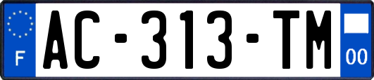 AC-313-TM