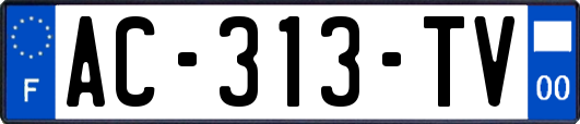 AC-313-TV