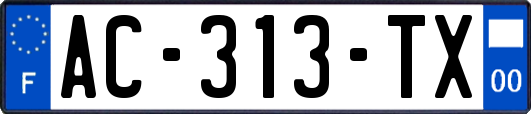 AC-313-TX
