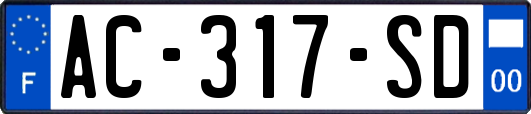AC-317-SD
