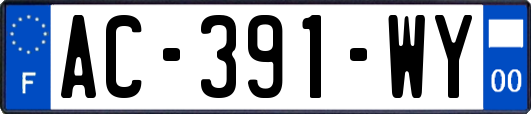 AC-391-WY