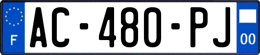 AC-480-PJ