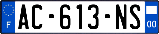 AC-613-NS