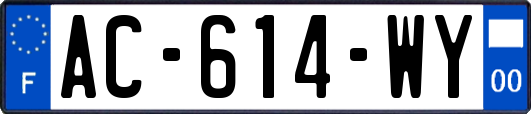 AC-614-WY