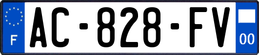AC-828-FV