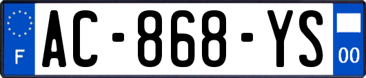 AC-868-YS