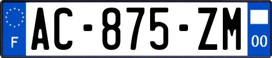 AC-875-ZM