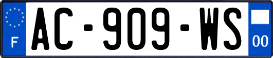 AC-909-WS