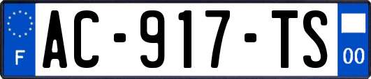 AC-917-TS
