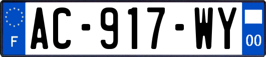 AC-917-WY