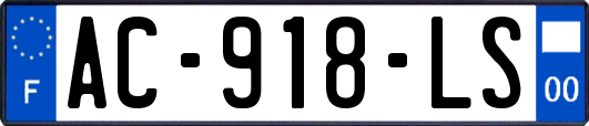AC-918-LS