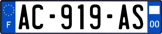 AC-919-AS