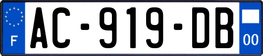 AC-919-DB