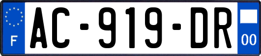 AC-919-DR