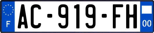 AC-919-FH